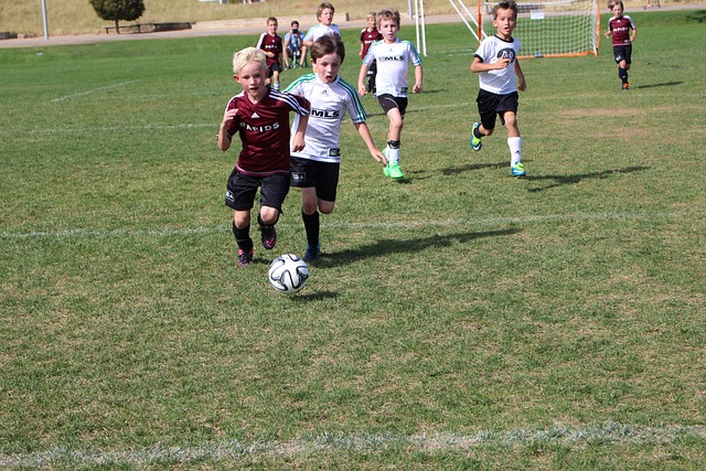 以提高预测 以提高预测