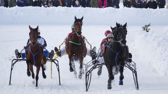 孙准浩:在拘留所患上抑郁症甚至想一死了之,洗热水澡时感动哭了.